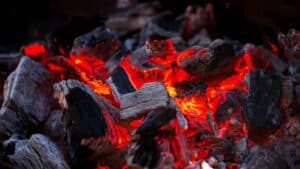 4 Different Types of Charcoal for Your Charcoal Grill or Barbecue