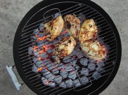 chickenongrill