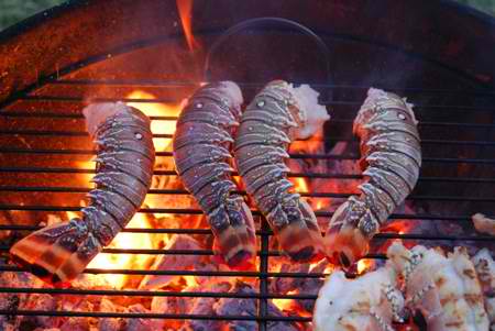 grilling lobster tails 3 1