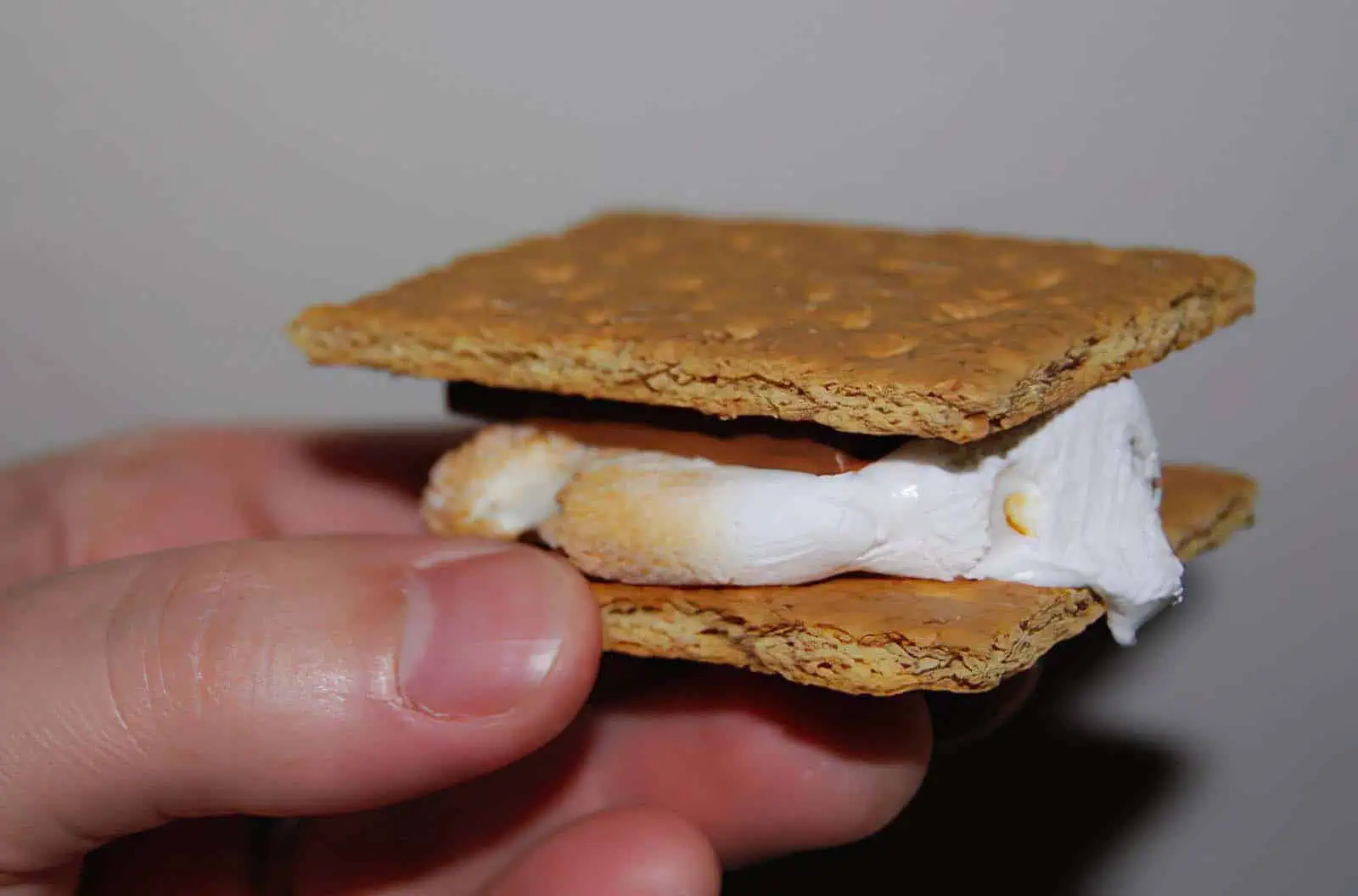 How to Make Smores Outdoors