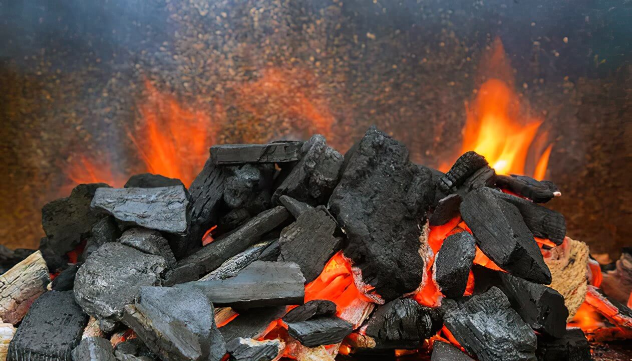 What to Do With Charcoal after Grilling? 5 Clever Things You Can with It