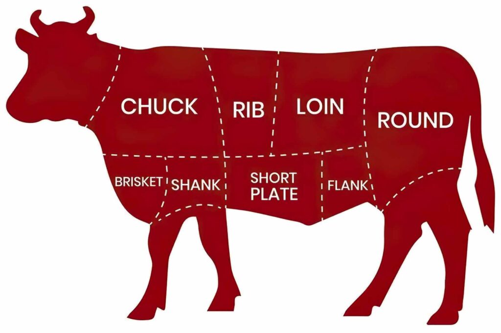 8 Primal Cuts of Beef