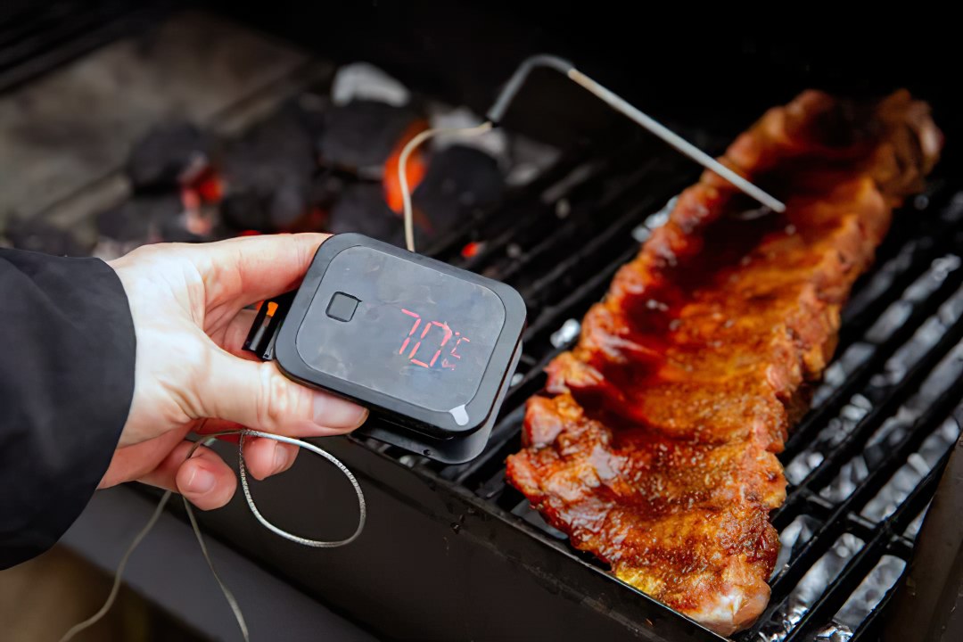 Best Smoker Thermometers